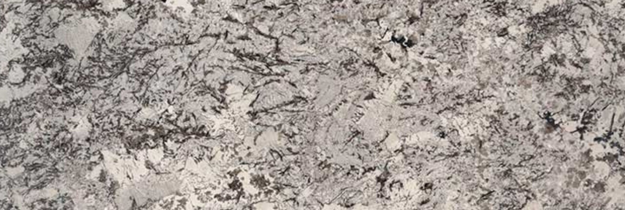 Delicatus White Granite Countertop