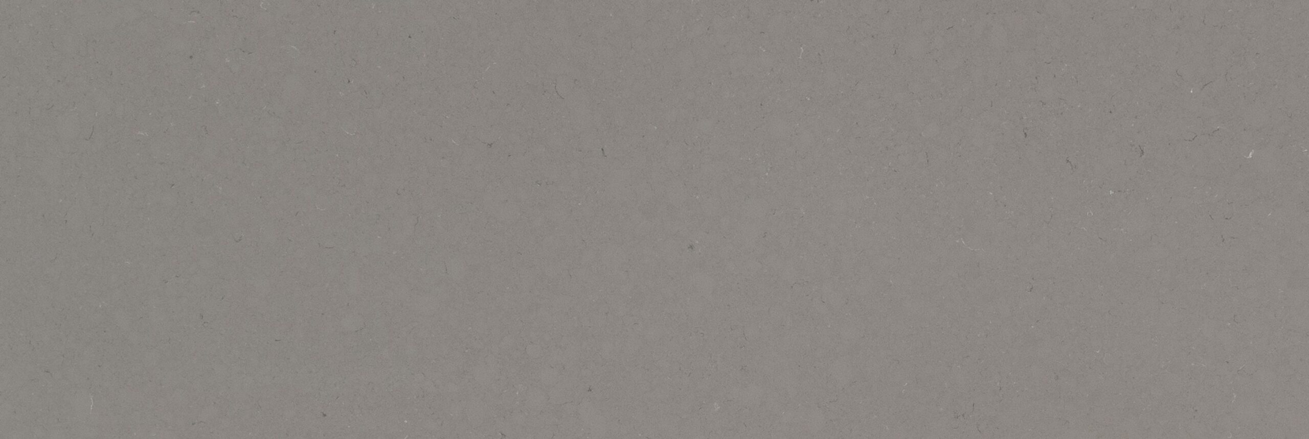 Fossil Gray Quartz: The Neutral Tone That Goes With Everything