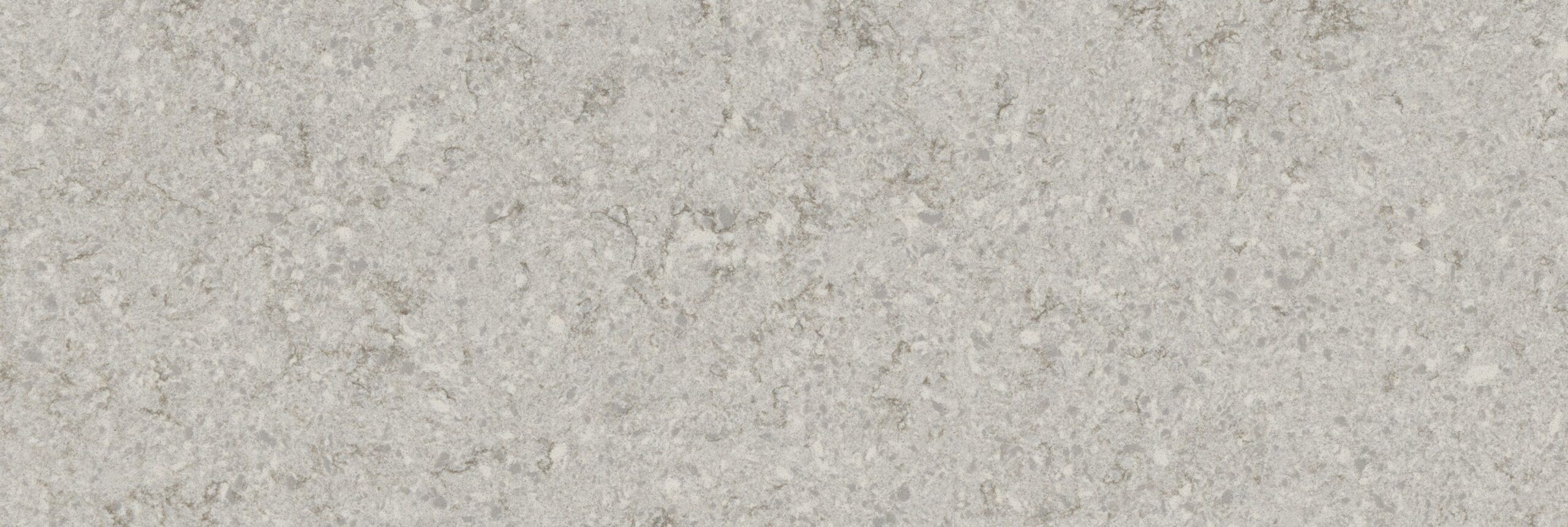 Gray Lagoon