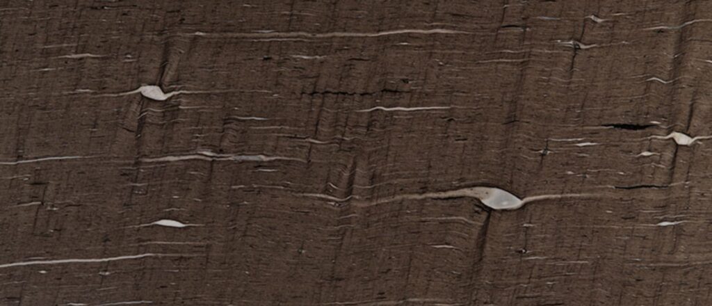 cygnus-kitchen-countertop